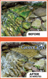 BioSafe GreenClean Granular Algaecide -  String Algae Control